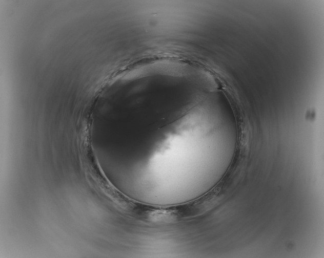 X0000113060465200909110919