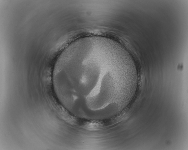 X0000113060466200909110919