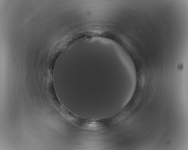 X0000113060467200909110920