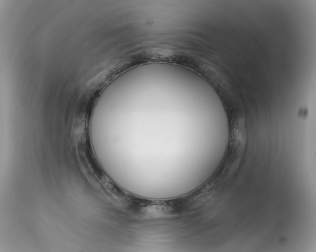 X0000113060468200909110920