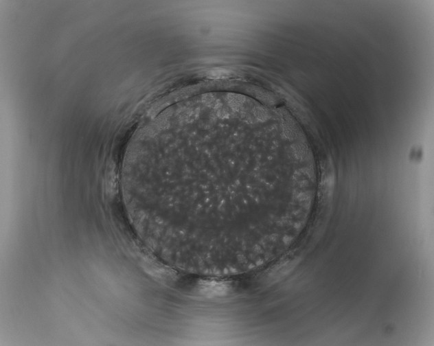 X0000113060469200909110920