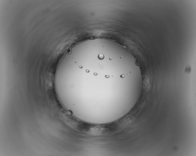 X0000113060470200909110920