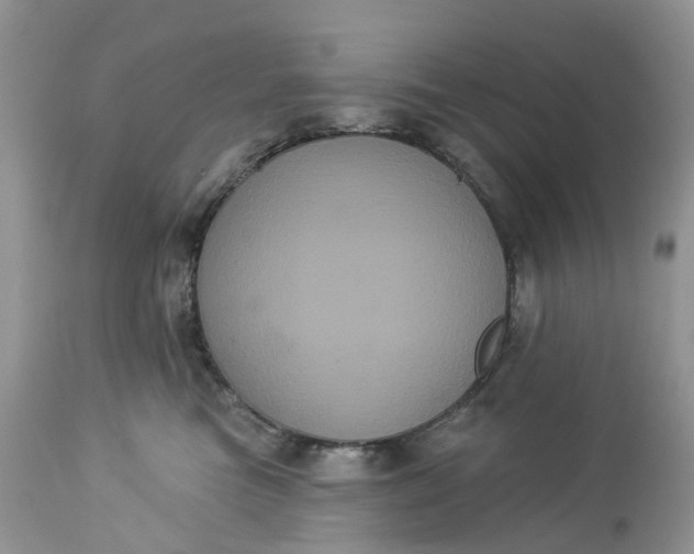 X0000113060473200909110920