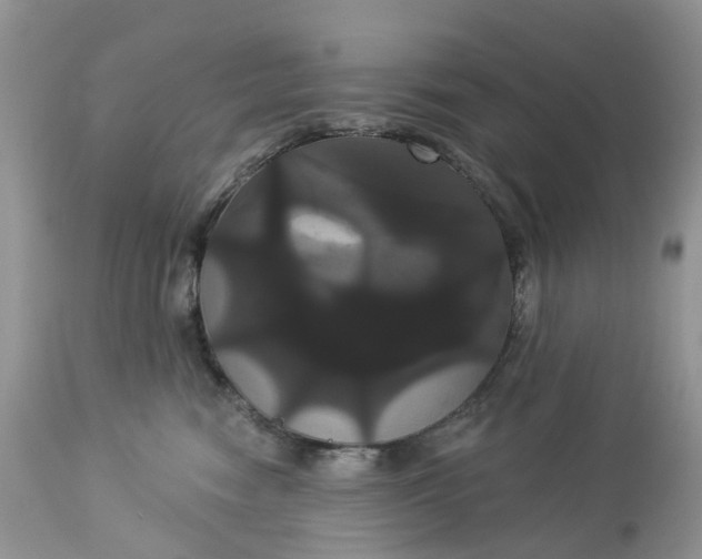X0000113060474200909110920
