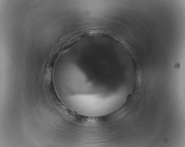 X0000113060475200909110920