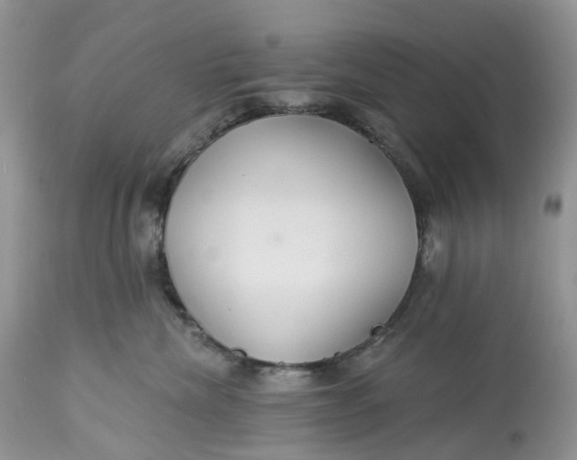 X0000113060476200909110920