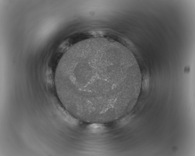 X0000113060477200909110920