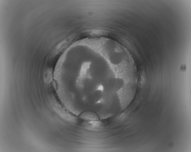 X0000113060478200909110920