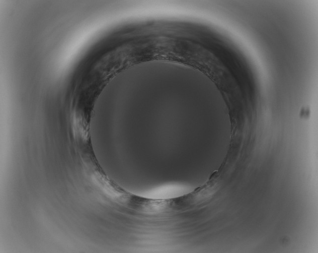 X0000113060479200909110920