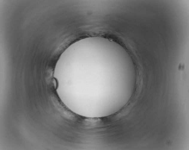 X0000113060480200909110920