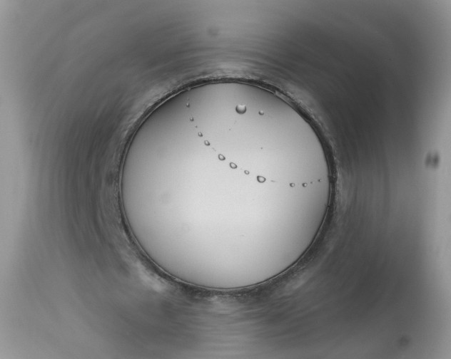 X0000113060481200909110919