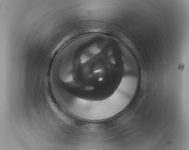 X0000113060482200909110919