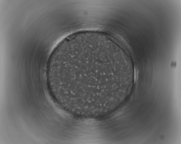 X0000113060483200909110919