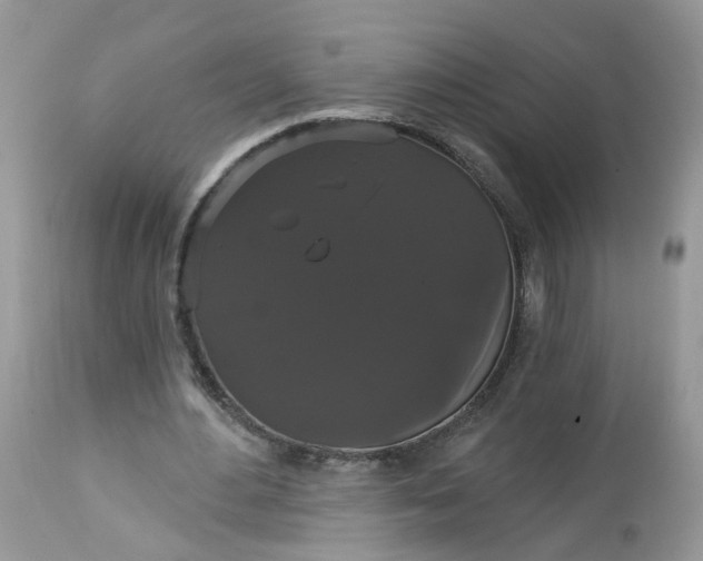 X0000113060484200909110919
