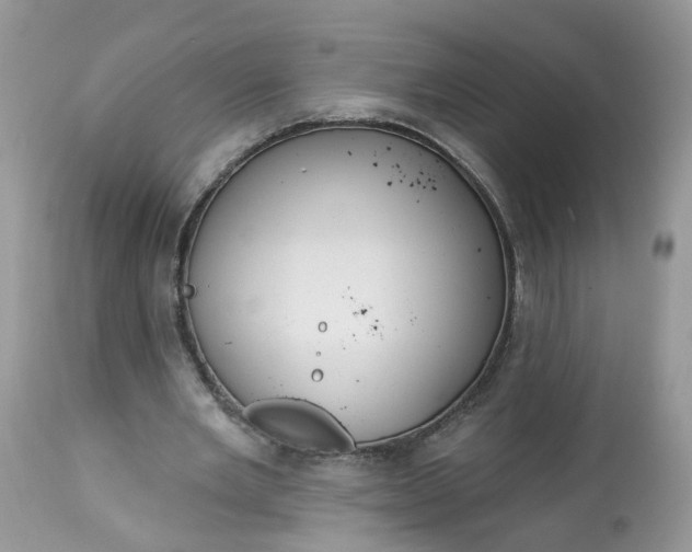 X0000113060485200909110919