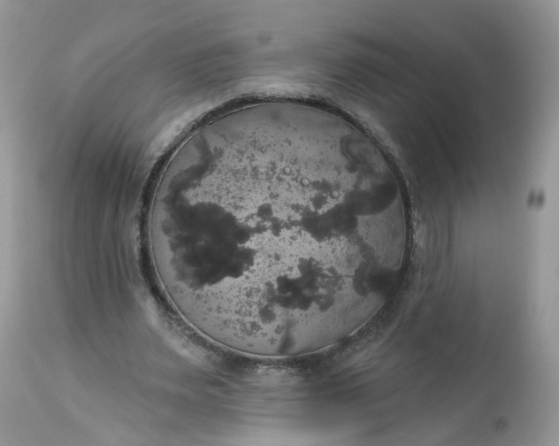 X0000113060487200909110919