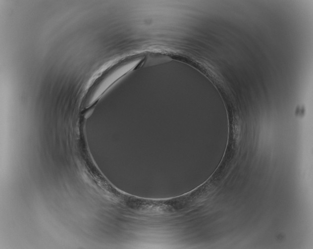 X0000113060488200909110919