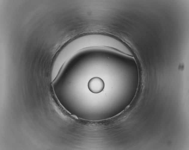 X0000113060489200909110919