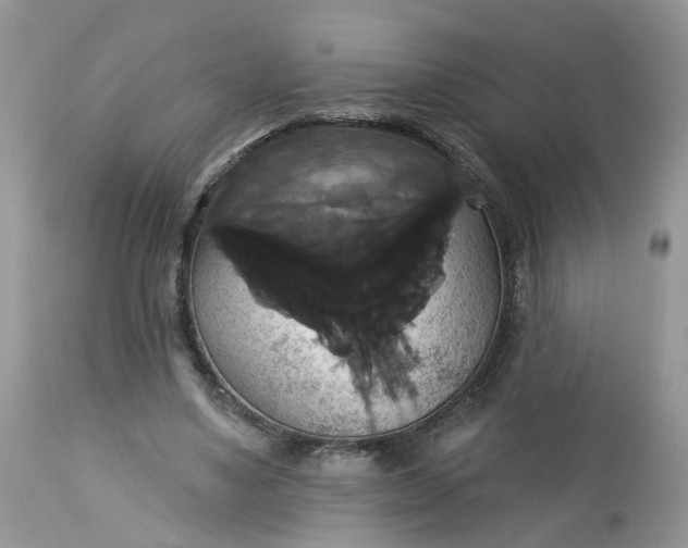 X0000113060491200909110919
