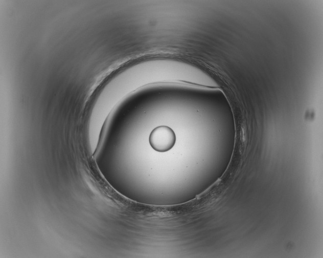 X0000113060492200909110919