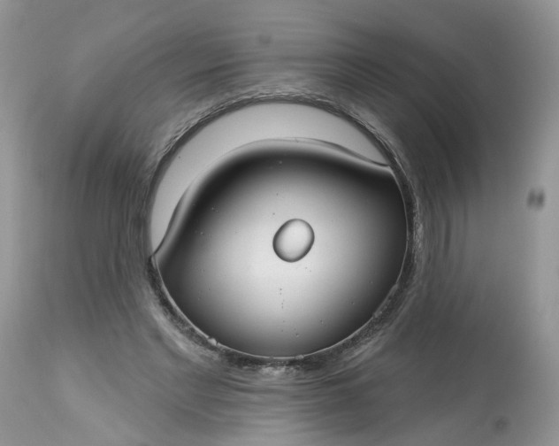 X0000113060493200909110919