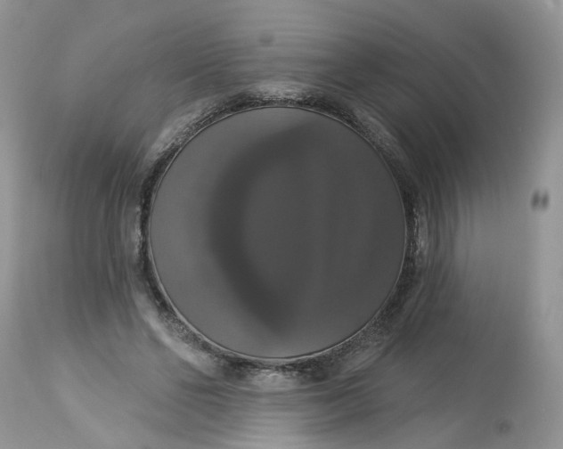 X0000113060494200909110919