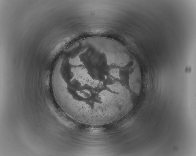 X0000113060495200909110919