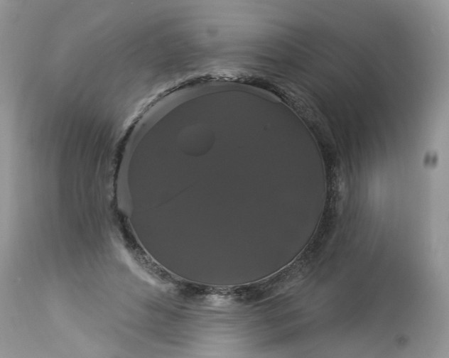 X0000113060496200909110919