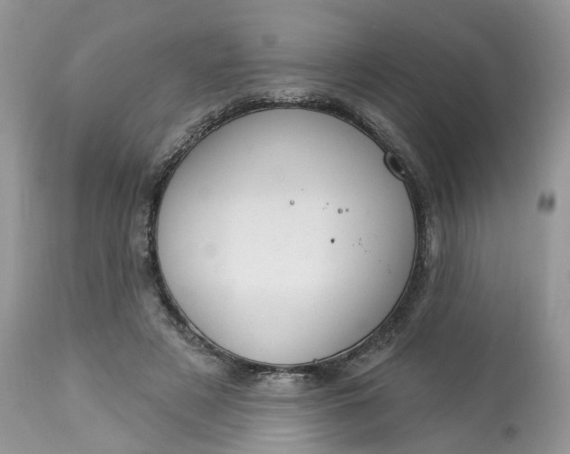X0000113060497200909110919