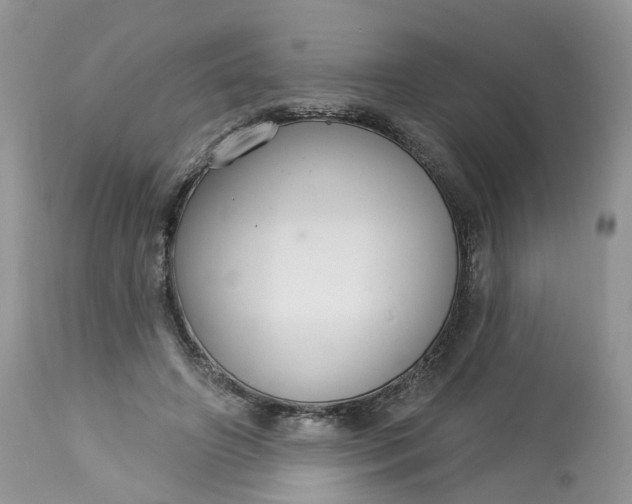 X0000113060498200909110919