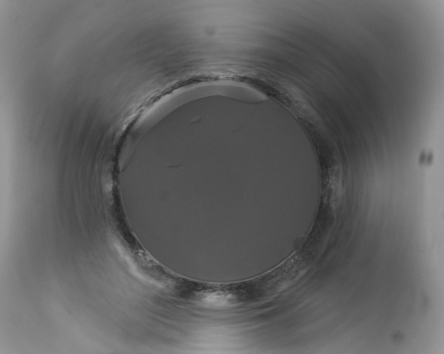 X0000113060500200909110919