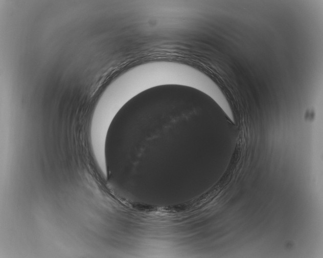 X0000113060504200909110919