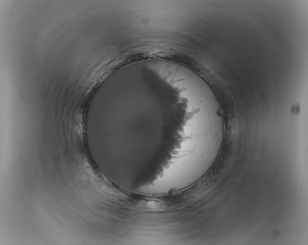 X0000113060506200909110919
