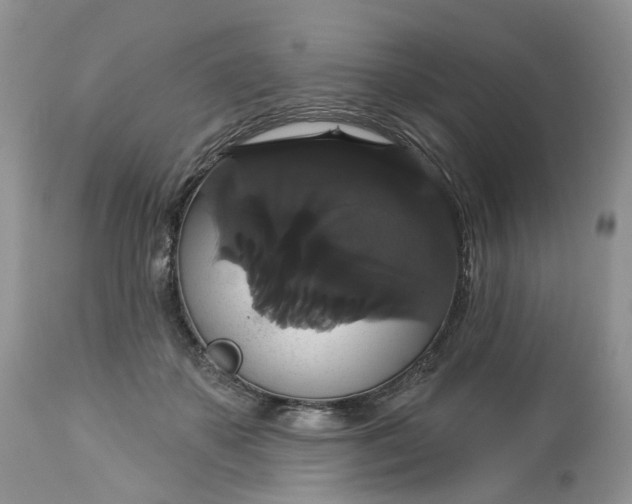 X0000113060507200909110919