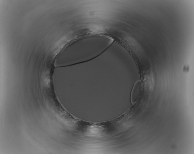 X0000113060508200909110919