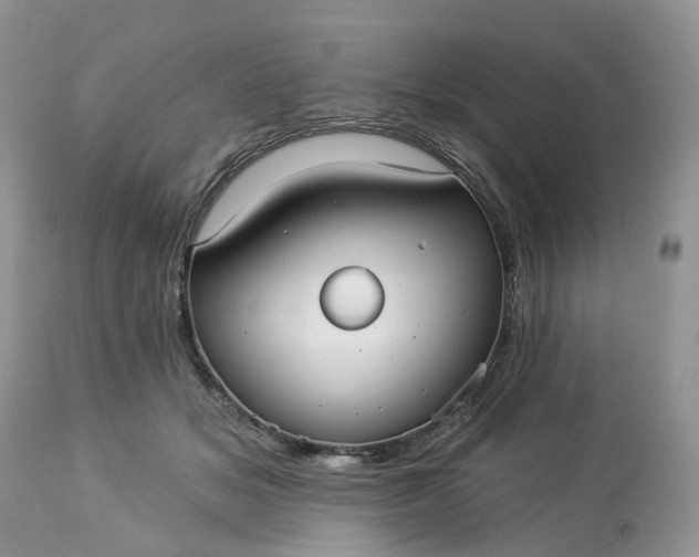 X0000113060509200909110919