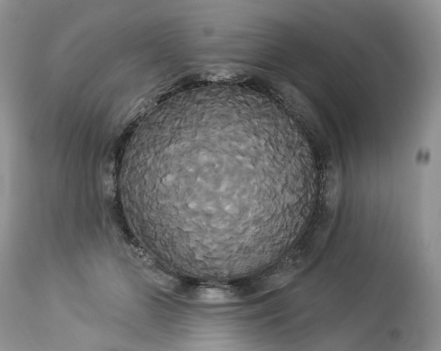 X0000113060510200909110919
