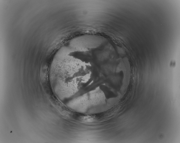 X0000113060511200909110919