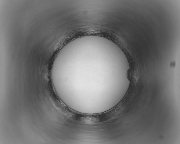 X0000113060512200909110919
