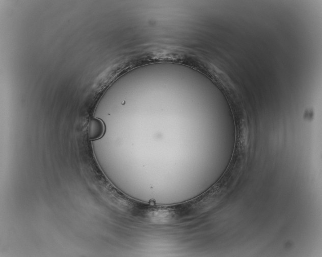 X0000113060513200909110919