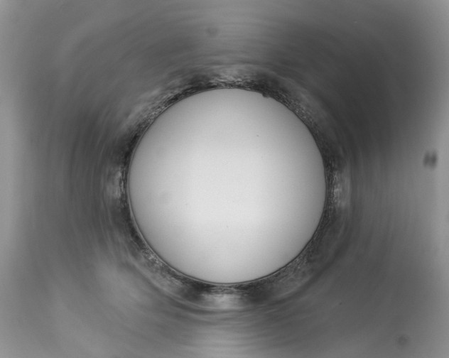 X0000113060514200909110919