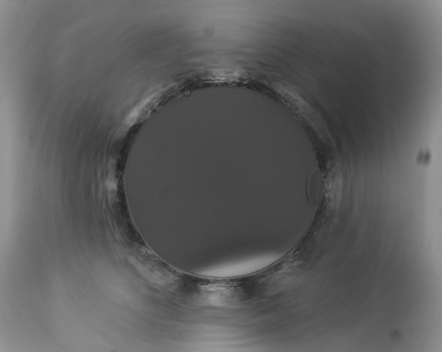 X0000113060516200909110919