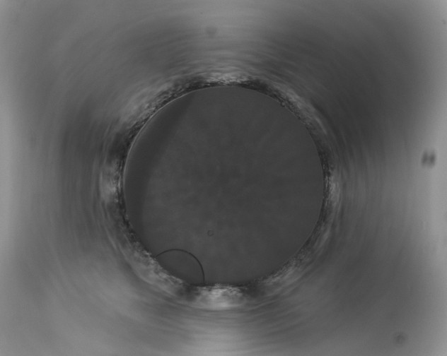 X0000113060517200909110919