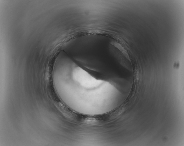 X0000113060519200909110919