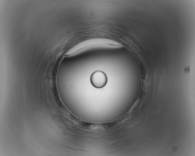 X0000113060520200909110918