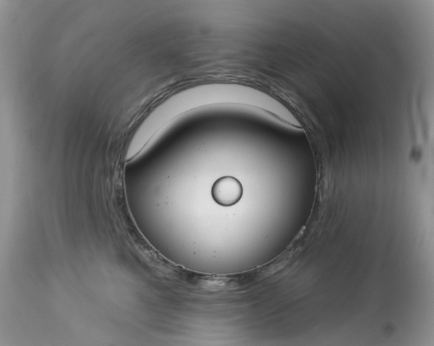 X0000113060521200909110918