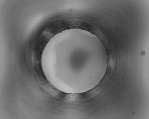 X0000113060526200909110918