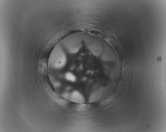 X0000113060527200909110918