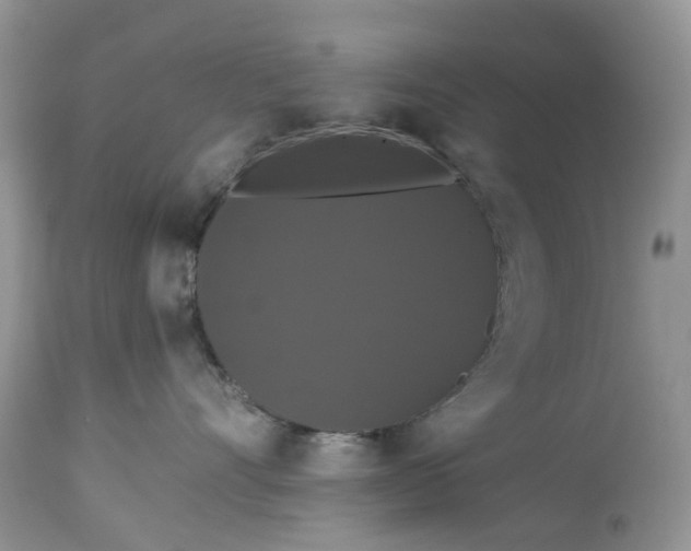 X0000113060528200909110918