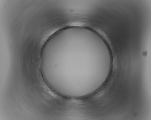 X0000113060529200909110917